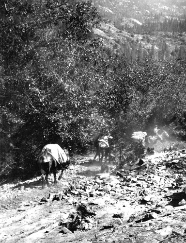 Click to see PIC 4-COU 5-C of Nevada County (PIC 4-COU)