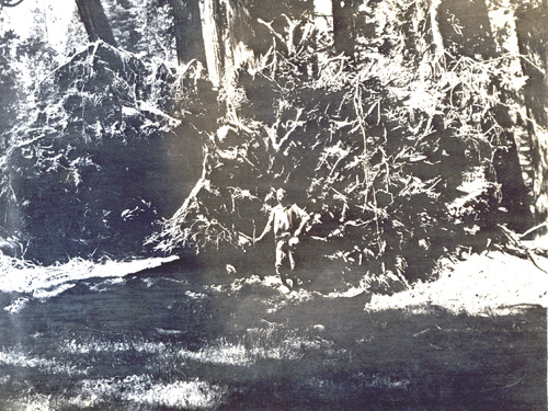 Click to see PIC 4-COU 11 of Nevada County (PIC 4-COU)