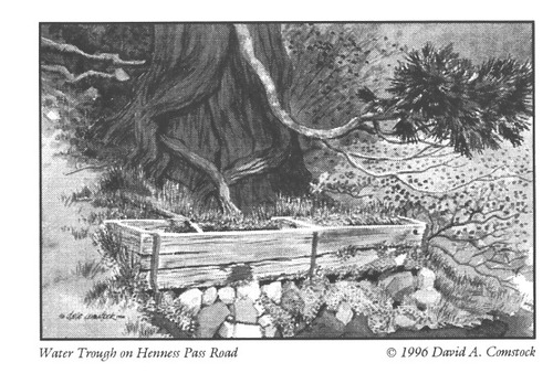 Click to see PIC 4-COU 15 of Nevada County (PIC 4-COU)