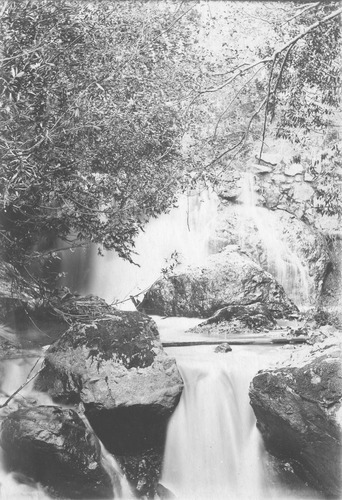 Click to see PIC 4-COU 19-2 of Nevada County (PIC 4-COU)