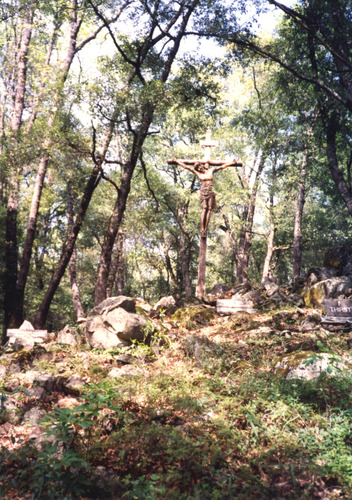 Click to see PIC 4-COU 48 of Nevada County (PIC 4-COU)