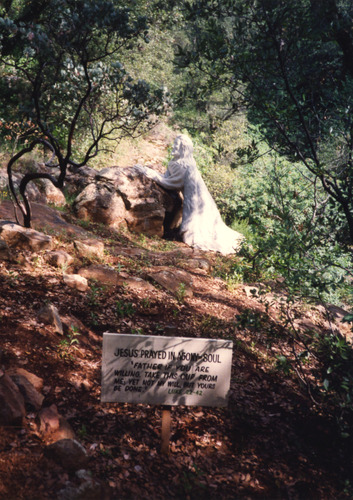 Click to see PIC 4-COU 52 of Nevada County (PIC 4-COU)