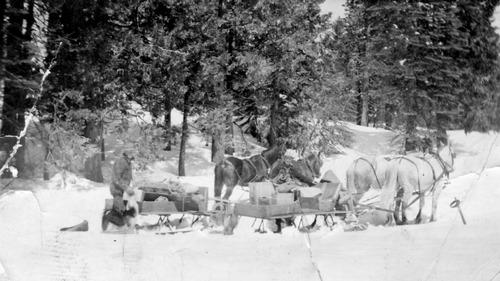 Click to see PIC 4-COU 82 of Nevada County (PIC 4-COU)