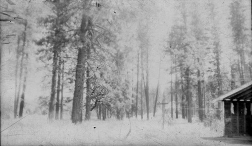 Click to see PIC 4-COU 86 NO PRINT of Nevada County (PIC 4-COU)