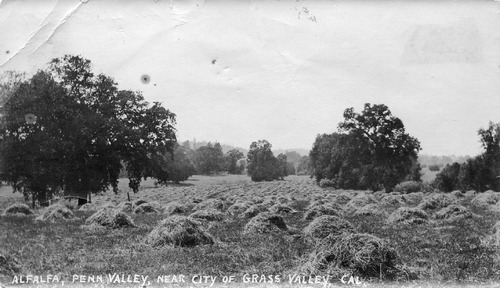 Click to see PIC 4-COU 106 of Nevada County (PIC 4-COU)