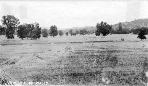 Click to see PIC 4-COU 108 of Nevada County (PIC 4-COU)