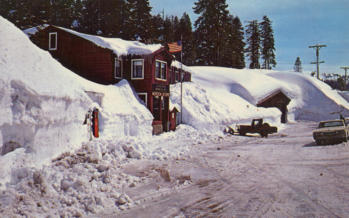 Click to see PIC 4-COU 111 of Nevada County (PIC 4-COU)