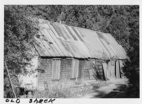 Click to see PIC 4-FOR 6 of Forest City (PIC 4-FOR)