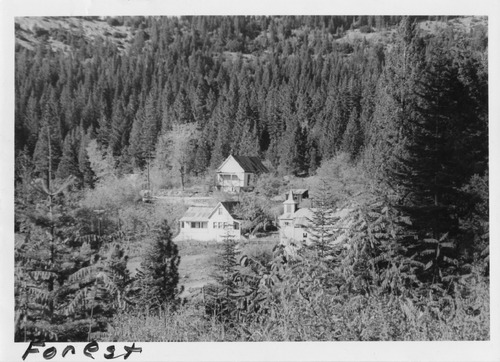 Click to see PIC 4-FOR 8 of Forest City (PIC 4-FOR)
