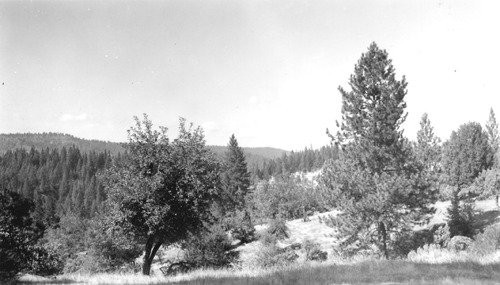 Click to view Ghost Towns (PIC 4-GHO) Ghost Towns (PIC 4-GHO)