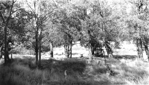 Click to see PIC 4-GHO 1-C of Ghost Towns (PIC 4-GHO)
