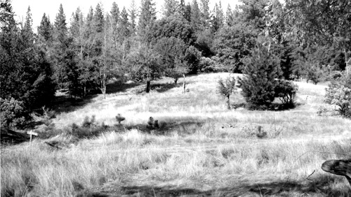Click to see PIC 4-GHO 1-F of Ghost Towns (PIC 4-GHO)