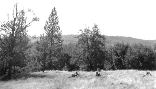 Click to see PIC 4-GHO 1-G of Ghost Towns (PIC 4-GHO)