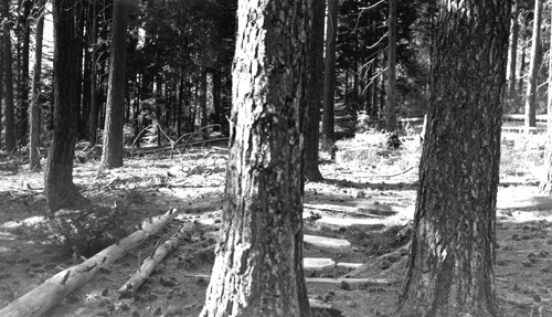 Click to see PIC 4-GHO 2-E of Ghost Towns (PIC 4-GHO)
