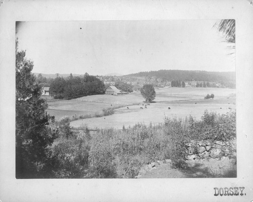 Click to see PIC 4-GR 18 of Grass Valley (PIC 4-GR)