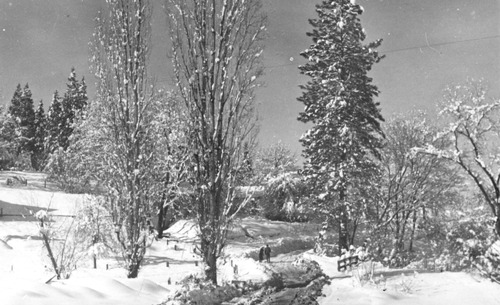 Click to see PIC 4-GR 27-3 of Grass Valley (PIC 4-GR)