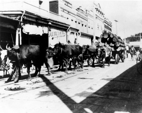 Click to see PIC 4-GR 109 of Grass Valley (PIC 4-GR)