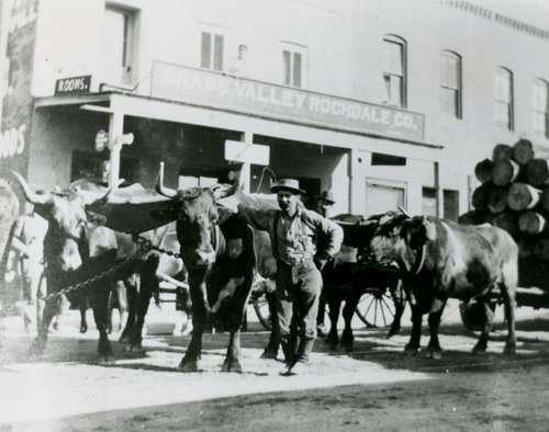 Click to see PIC 4-GR 110 of Grass Valley (PIC 4-GR)