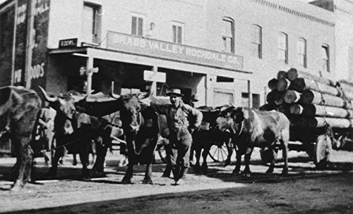 Click to see PIC 4-GR 110-A of Grass Valley (PIC 4-GR)