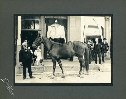 Click to see PIC 4-GR 118 of Grass Valley (PIC 4-GR)