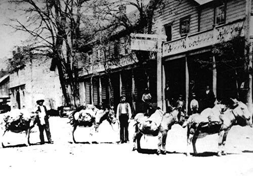 Click to see PIC 4-GR 125 of Grass Valley (PIC 4-GR)