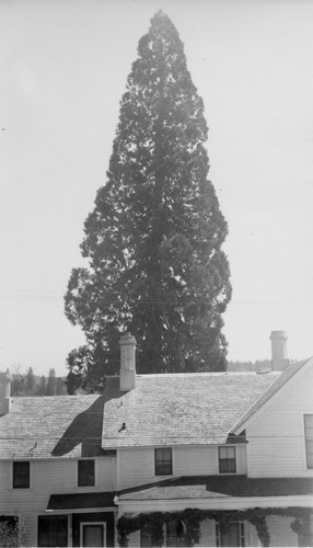 Click to see PIC 4-GR 289 of Grass Valley (PIC 4-GR)