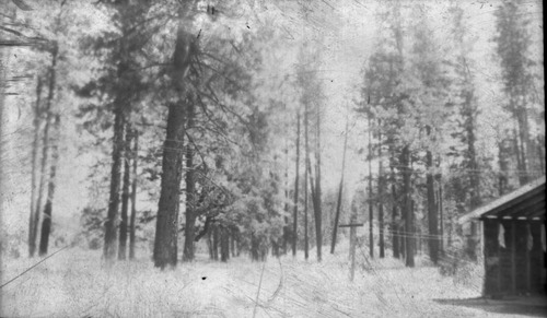 Click to see PIC 4-GR 349 of Grass Valley (PIC 4-GR)