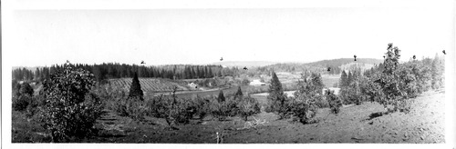 Click to see PIC 4-GR 477 of Grass Valley (PIC 4-GR)