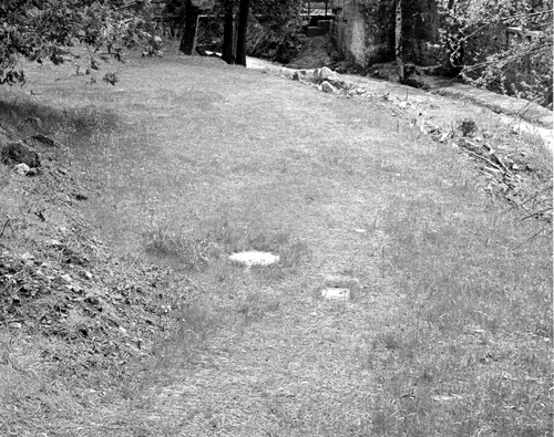 Click to see PIC 4-GR 701 of Grass Valley (PIC 4-GR)