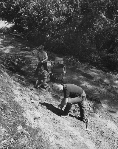 Click to see PIC 4-GR 705 of Grass Valley (PIC 4-GR)