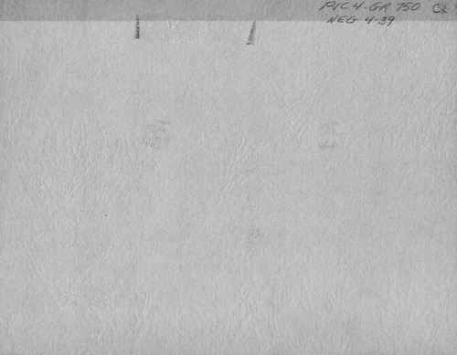 Back of Photo Back of Photo