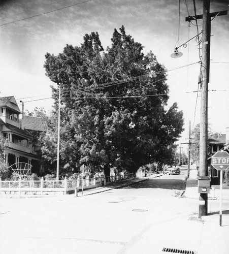Click to see PIC 4-GR 799B of Grass Valley (PIC 4-GR)