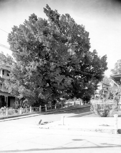 Click to see PIC 4-GR 799C of Grass Valley (PIC 4-GR)