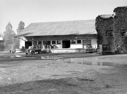 Click to see PIC 4-GR 843C of Grass Valley (PIC 4-GR)