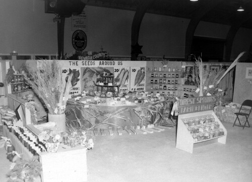 Click to see PIC 4-GR 891 of Grass Valley (PIC 4-GR)