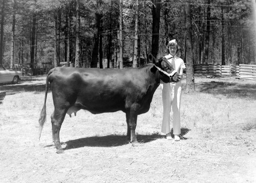 Click to see PIC 4-GR 897 of Grass Valley (PIC 4-GR)
