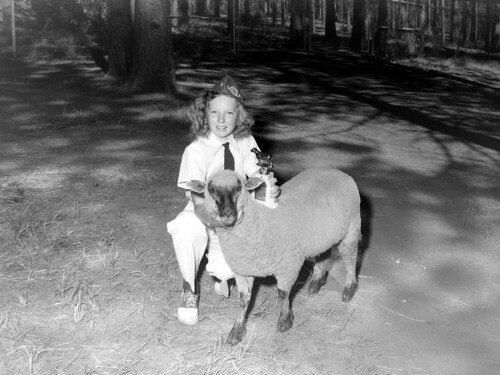 Click to see PIC 4-GR 898 of Grass Valley (PIC 4-GR)