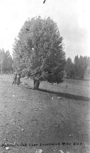 Click to see PIC 4-GR 933 of Grass Valley (PIC 4-GR)