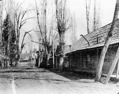 Click to see PIC 4-GR 991 of Grass Valley (PIC 4-GR)