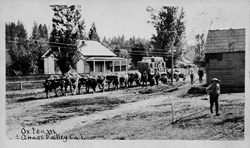 Click to see PIC 4-GR 1004 of Grass Valley (PIC 4-GR)