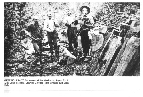 Click to see PIC 4-GRA 5-B of Graniteville (PIC 4-GRA)