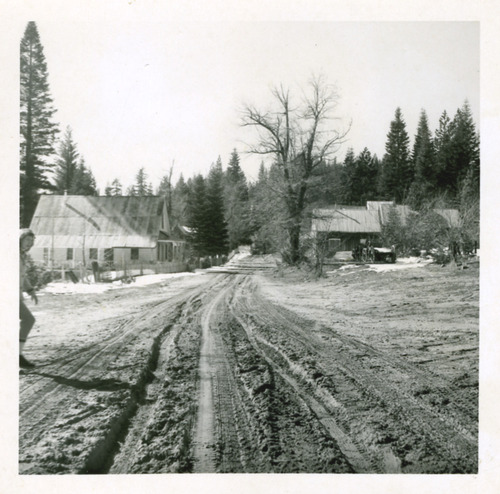Click to see PIC 4-GRA 53 of Graniteville (PIC 4-GRA)