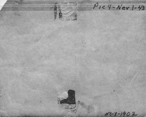 Back of Photo Back of Photo