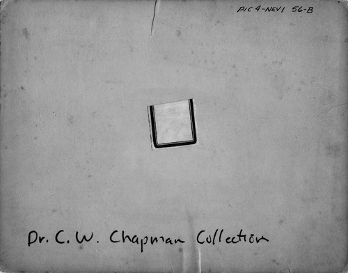 Back of Photo Back of Photo
