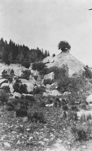 Click to see PIC 4-NEV1 80A of Nevada City (PIC 4-NEV)