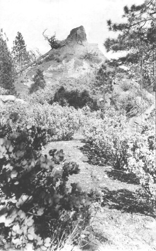 Click to see PIC 4-NEV1 80C of Nevada City (PIC 4-NEV)