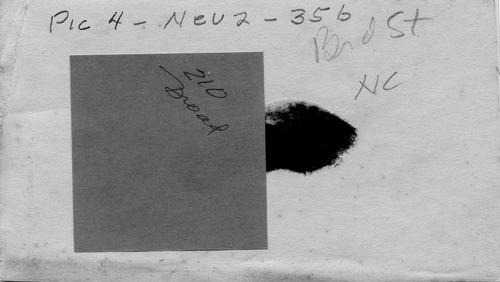 Back of Photo Back of Photo