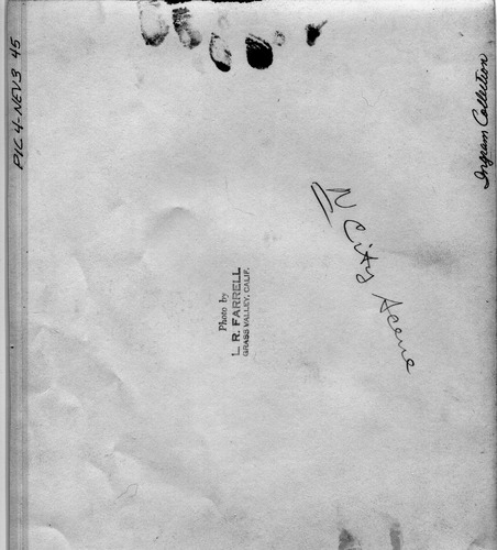 Back of Photo