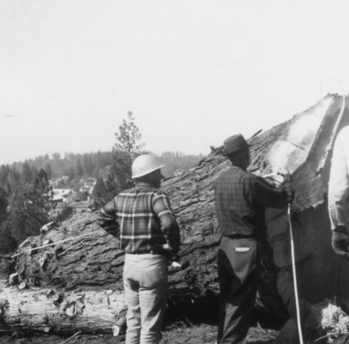 Click to see PIC 4-NEV3 53 A of Nevada City (PIC 4-NEV)