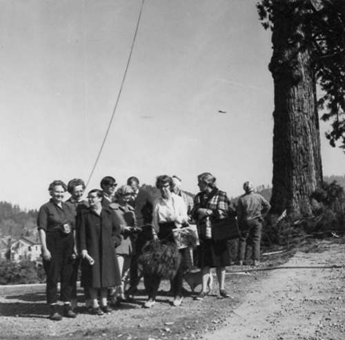 Click to see PIC 4-NEV3 53 D of Nevada City (PIC 4-NEV)